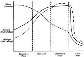 “依然热爱足球”：沃尔夫斯堡球星埃里克森谈目标、狼堡与德甲(图1)