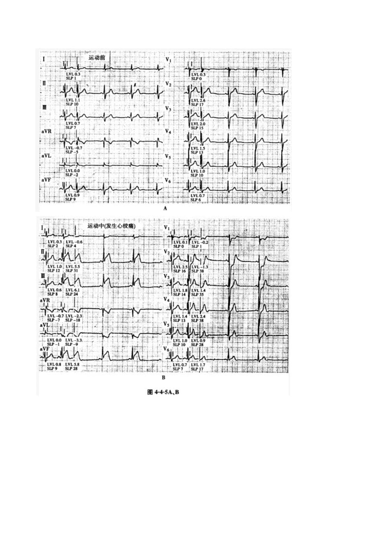 2026上海黄浦半程马拉松竞赛规程(图1)