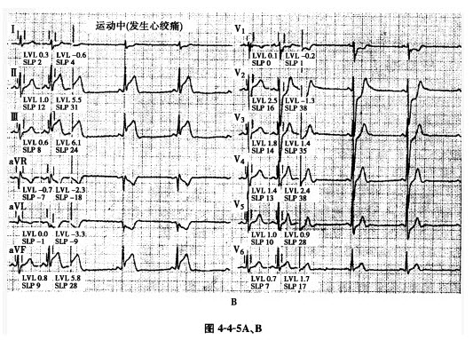 推荐｜九江、梧州、重庆沙坪坝等多场赛事报名火热进行中(图1)