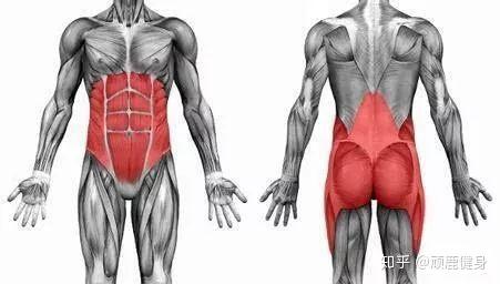 雷军：小米未来5年重点攻坚芯片等底层核心技术；宇树科技发布新四足机器人｜数智早参(图1)