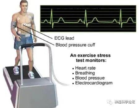 体育总局关于《运动负荷熵测定方法》体育行业标准立项的通知(图1)