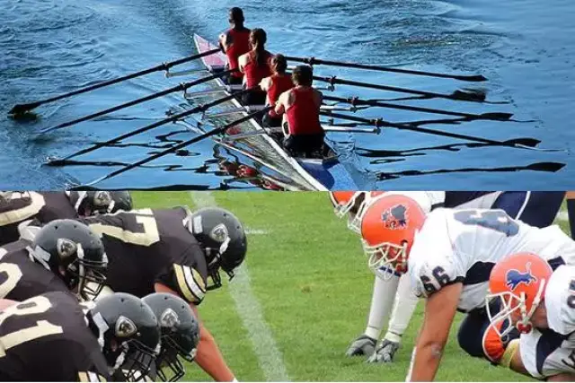 东方电气：2025年净利润同比增长3111%拟10派53元(图1)