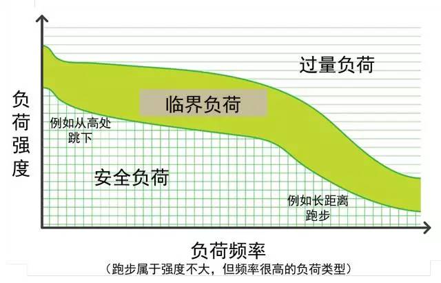 【活动】以体育人硕果累累！武平附校顺利完成省级基础教育体育监测(图1)