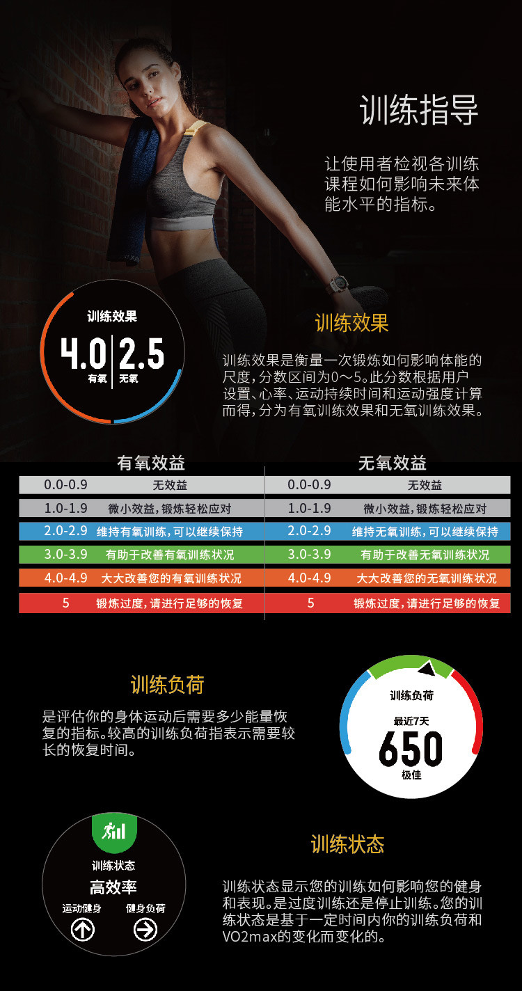 运动训练监控分析系统(图1)